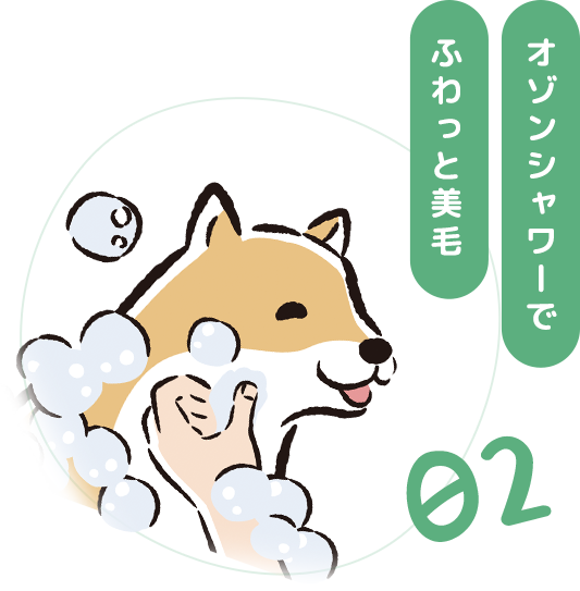 オゾンシャワーでふわっと美毛